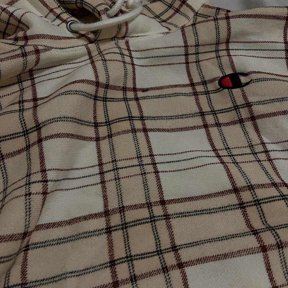 Cropped champion hoodie.